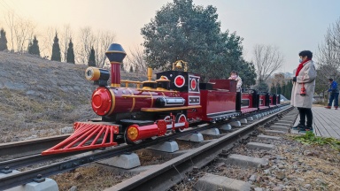 鞏義市公園游樂(lè)軌道小火車(chē)