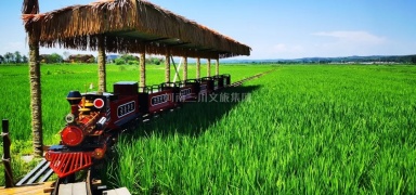 光東村鄉(xiāng)村田園軌道小火車(chē)