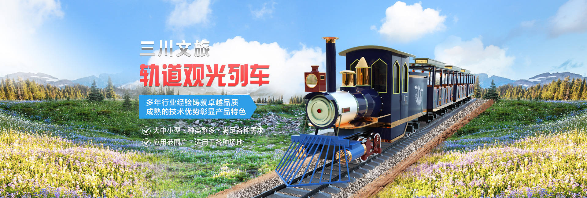 軌道大型觀(guān)光車(chē)
